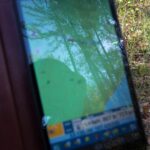 Hand hält ein Smartphone mit Navigationskarte vor einem Wald