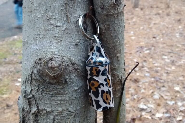 Kleiner Micro-Geocache hängt versteckt an einem Baumstamm