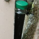 Petling als Geocache in einem Pfosten