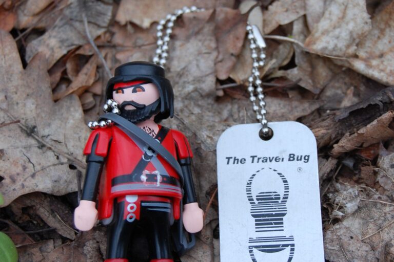 Spielfigur mit Travel-Bug-Anhänger auf Laub im Wald